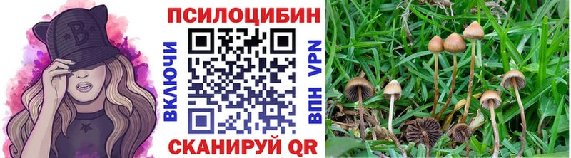 Галлюциногенные грибы мухоморы  продажа наркотиков  hydra tor  Каспийск 